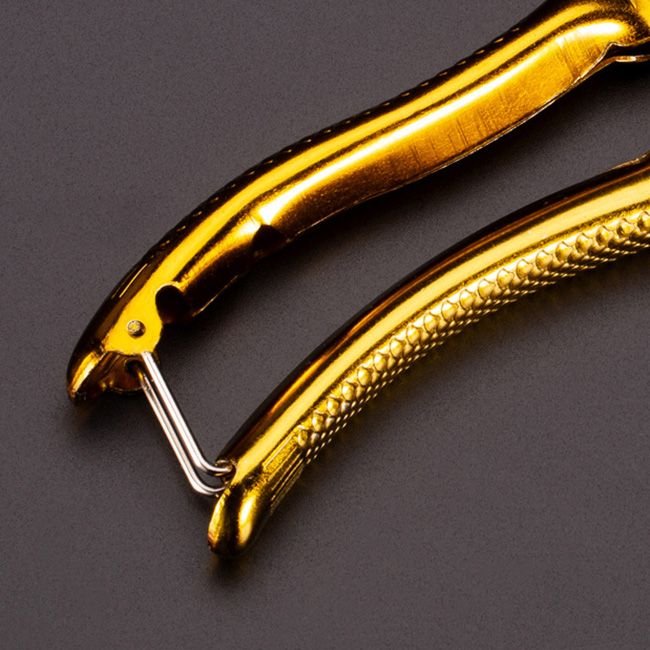 Golden Handle Garden Pruning Scissors